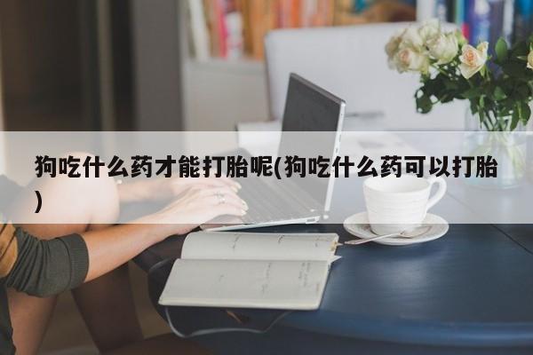 打胎药如何购买狗吃什么药才能打胎呢(狗吃什么药可以打胎)