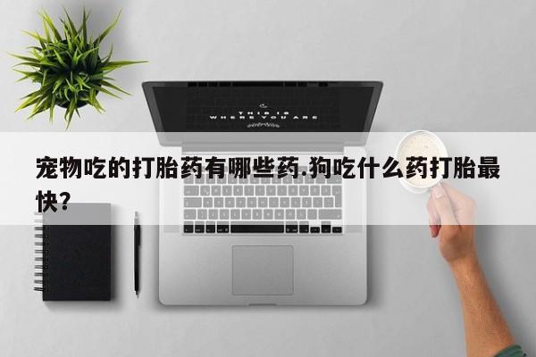 打胎药如何购买宠物吃的打胎药有哪些药.狗吃什么药打胎最快？