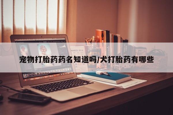 打胎药如何购买宠物打胎药药名知道吗/犬打胎药有哪些