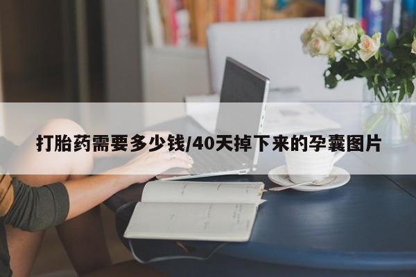 打胎药如何购买打胎药需要多少钱/40天掉下来的孕囊图片